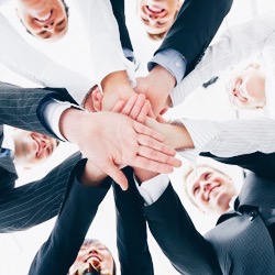 Team Member